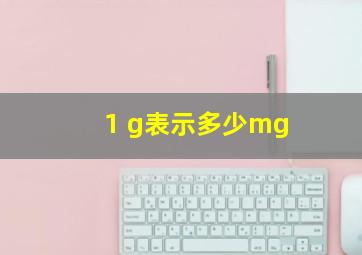 1 g表示多少mg